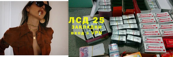 твердый Кулебаки