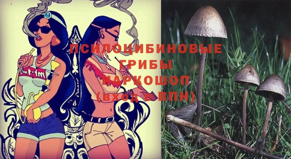 стафф Абаза